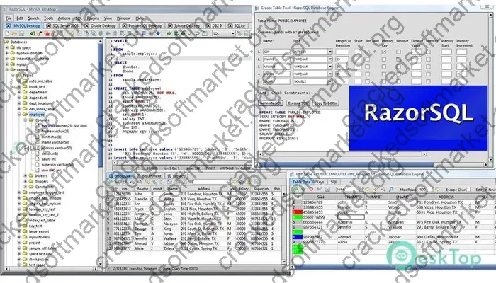 Richardson Software RazorSQL Serial key V11.3.1 X86 + KeyMaker