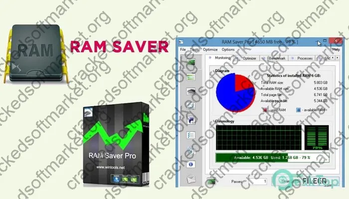 RAM Saver Professional Crack 24.3 Free Download